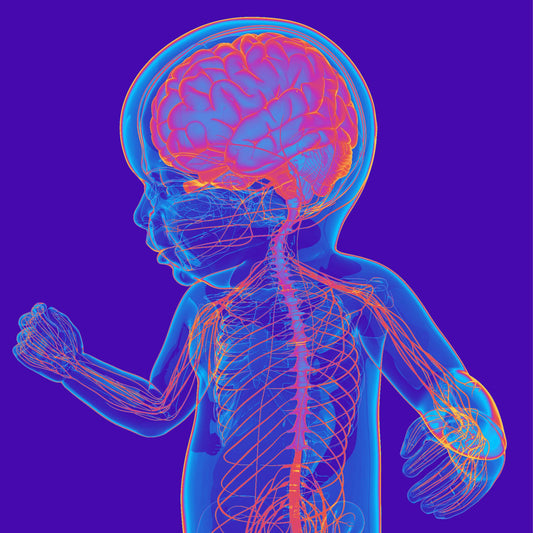 child body scan