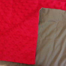 Cargar imagen en el visor de la galería, 90x120cm, Beige Cotton &amp; Red Minky Blanket, 3.7kg